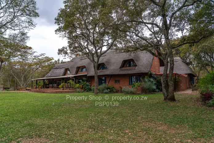 6 Truly magnificent well treed Acres