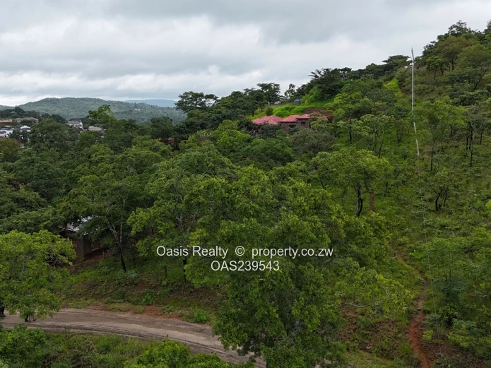 Carrick Creagh stands for sale