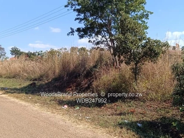 Borrowdale Hogerty Hill Property For Sale