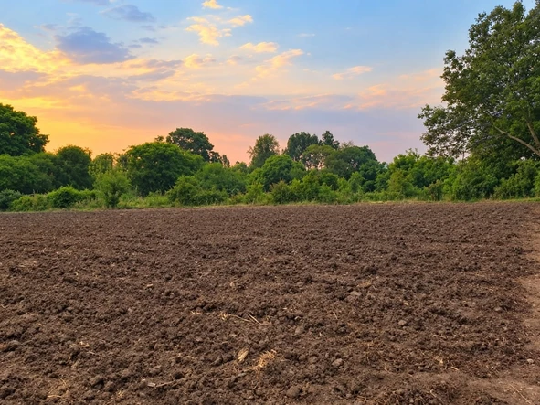 Commercial & Industrial Land