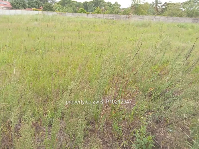 4ha Commercial land in Hatfield for sale 