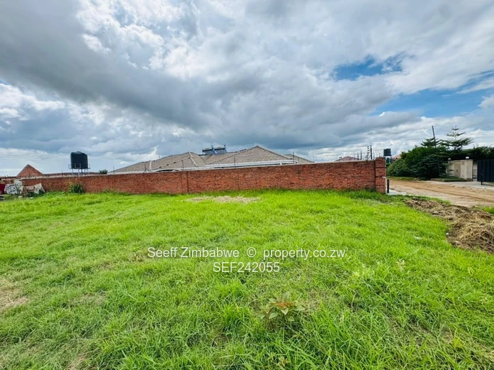 The Canvas for Your Vision:  Prime Stand in Sandton Park