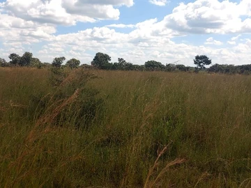 Farm & Agricultural Land