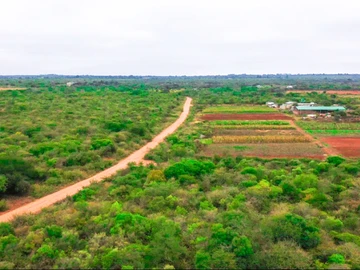 Farm & Agricultural Land