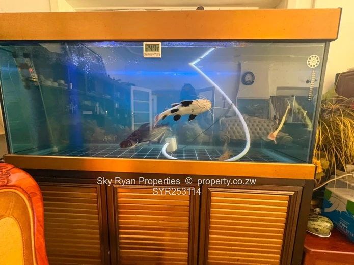 Stand For Sale In Mount Pleasant 