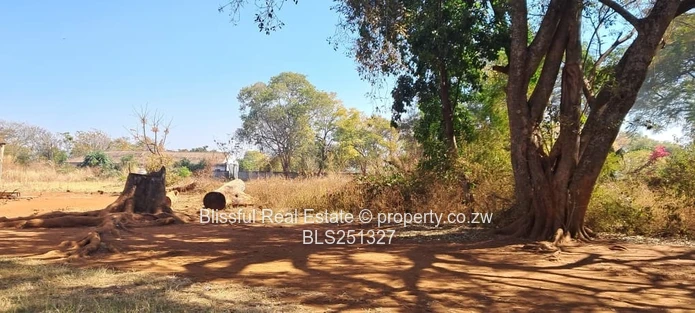 1.18 Hectares Investment Property For Sale - Banket