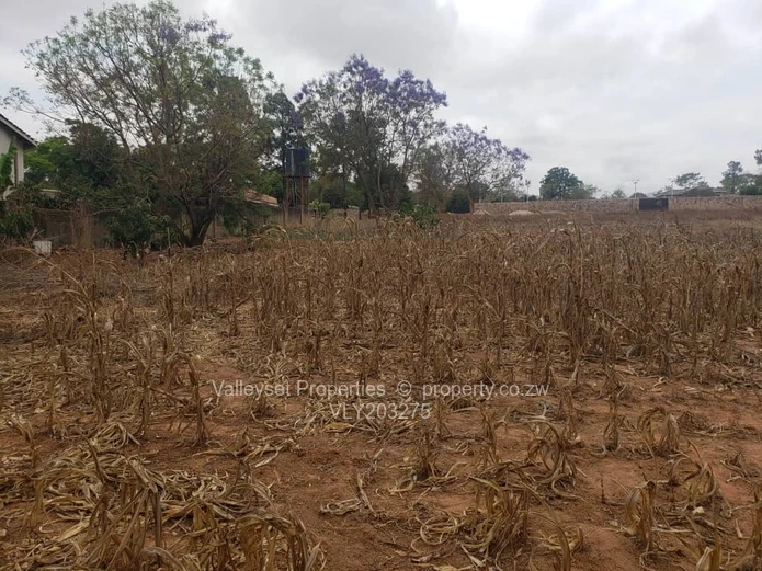2000 m² Residential Land for Sale in Upscale Borrowdale, Harare North