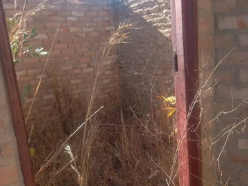 Farm & Agricultural Land