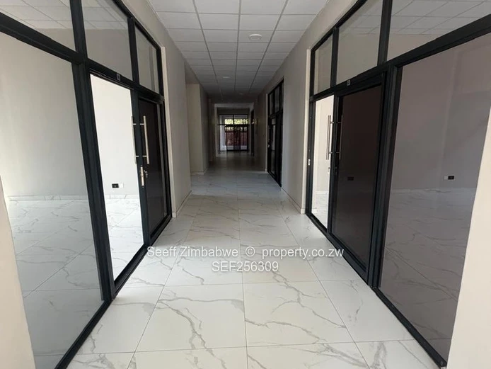 Compact Specialist & Diagnostic Suite (31 sqm)