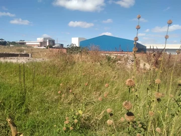 Commercial & Industrial Land