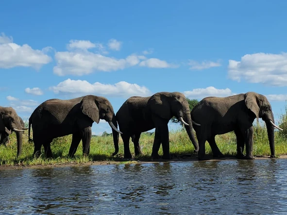 Commercial & Industrial Land