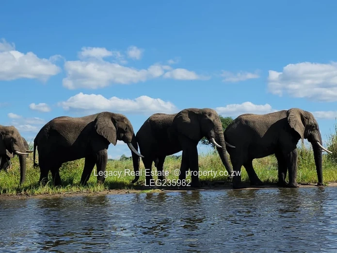 A Once-in-a-Generation Zambezi Riverfront Opportunity,Two Private Islands & a Prime Mainland Estate 