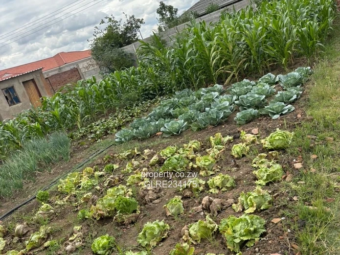 5-Bedroom Semi-Furnished Gem – Sandtone Phase?2