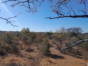 Farm & Agricultural Land