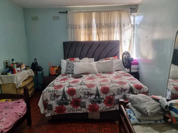 Flat & Apartment