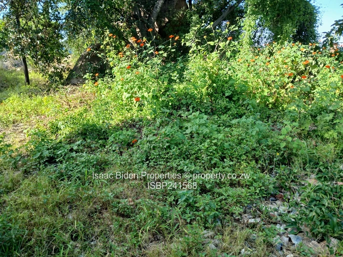 Nyanga Vacation Plots!! Limited!