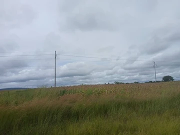 Farm & Agricultural Land