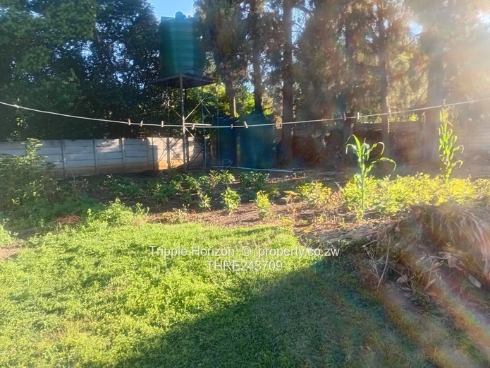 Excellent Location! Samy Levy Village!