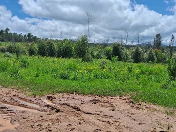 Farm & Agricultural Land