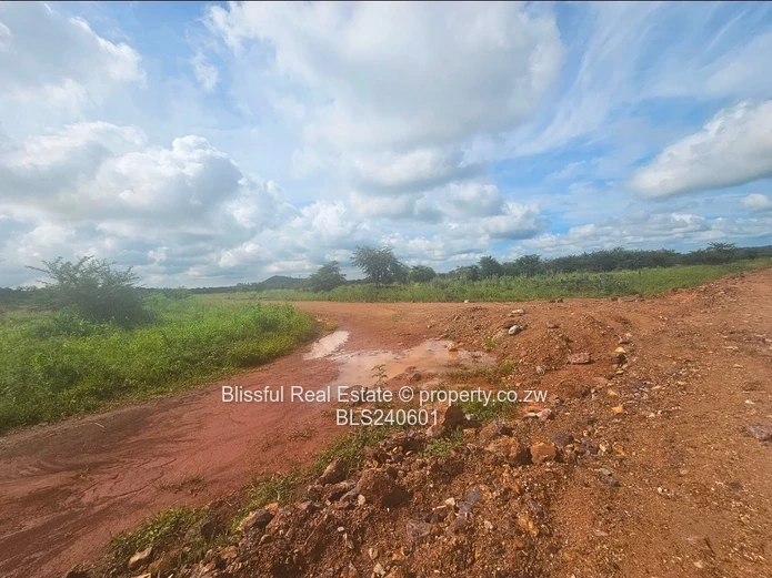 Stands for sale in Doornfontein 