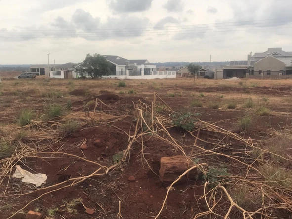 Stands & Residential Land