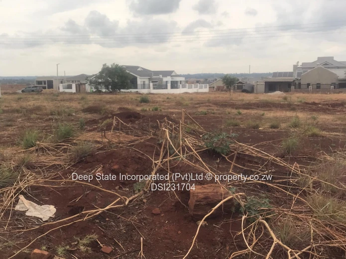 Nyeredzi stand for sale 