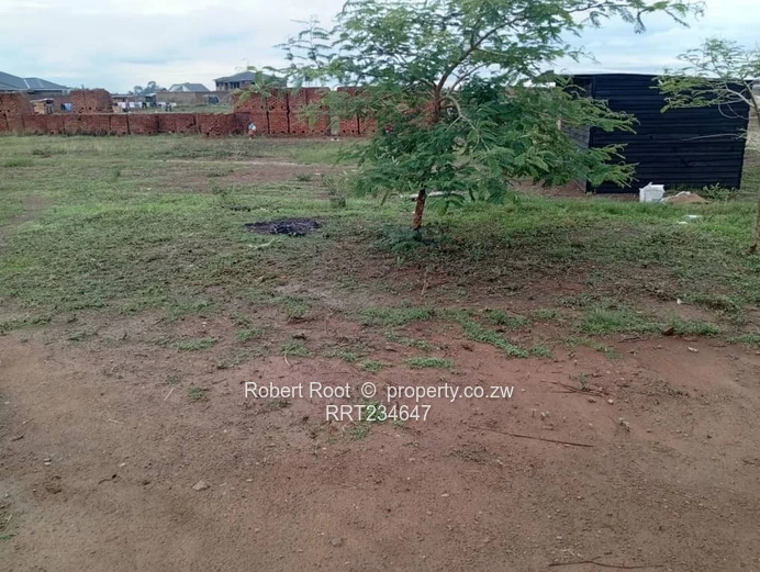 Sandton Park Stand For Sale