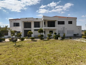 Urban Farming in Harare