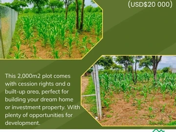 Stands & Residential Land