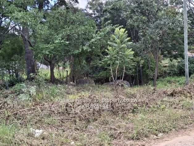 GLEN LORNE Stand with 7 roomed cottage for sale.