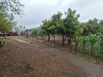 Land