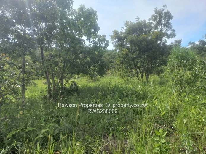 Gletwin (Police Heights) (Sole Mandate)