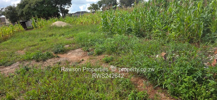 Superb opportunity in Gletwin Park  (Sole Mandate)