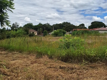 Stands & Residential Land