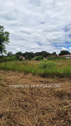 Quinnington, Helensvale 135K