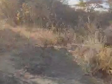 Farm & Agricultural Land