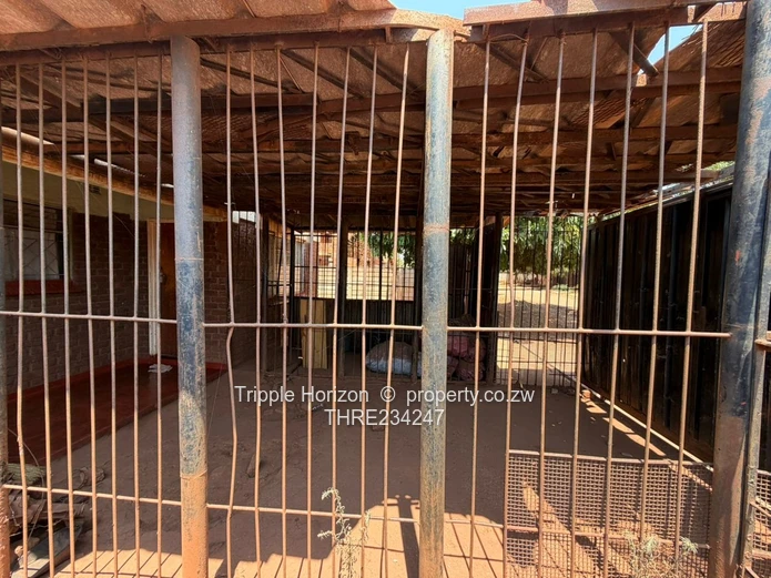 Investment Opportunity 