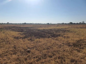 Farm & Agricultural Land