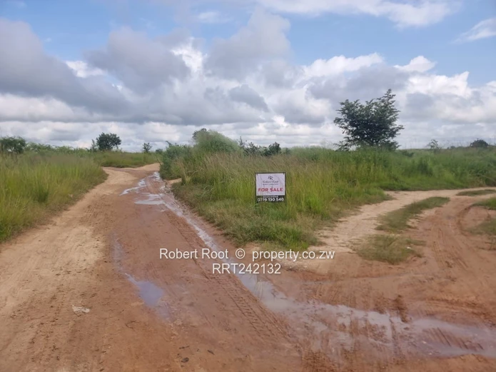 Chinhoyi Industrial Stand For Sale