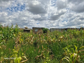 Stands & Residential Land