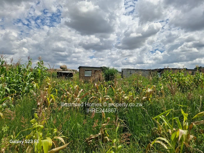 Nyatsime Park- built up area