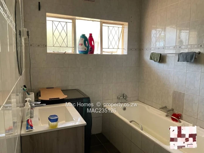 Modern Offering- Neat and Solid