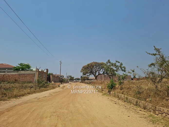 Crowhill Sawara Hills stand for sale