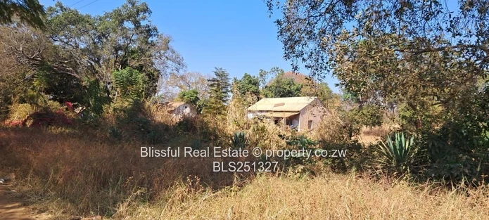 1.18 Hectares Investment Property For Sale - Banket