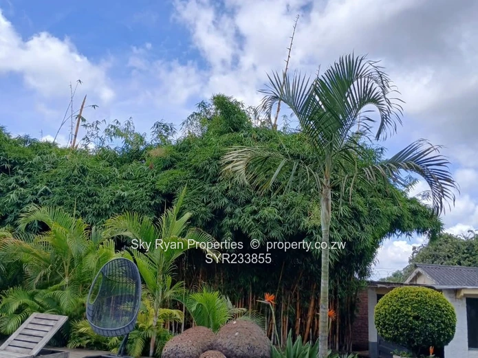 Avondale West Property For Sale