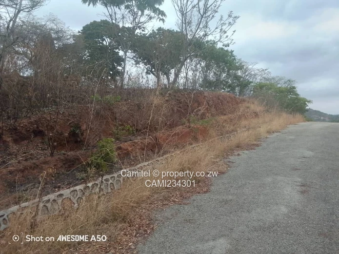 A good potential Investment