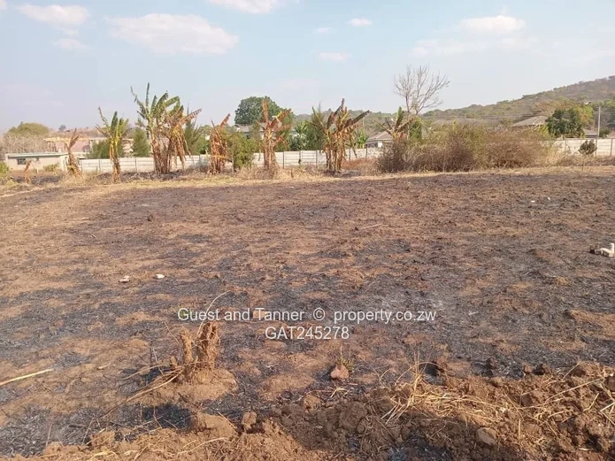 Ruwa Athelney Stands For Sale