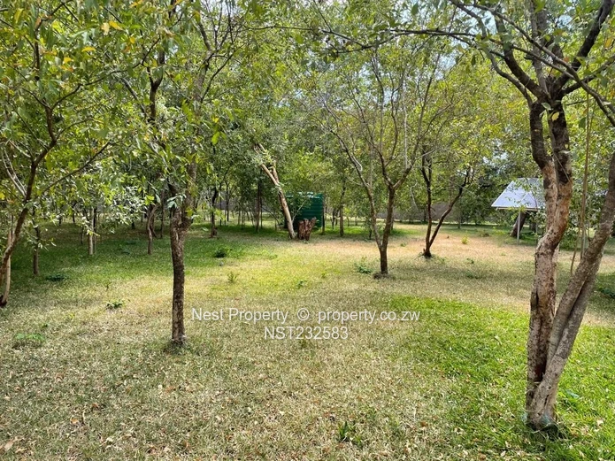 Vic falls property for sale . Land only for sale in BB7 area of Victoria falls . 
