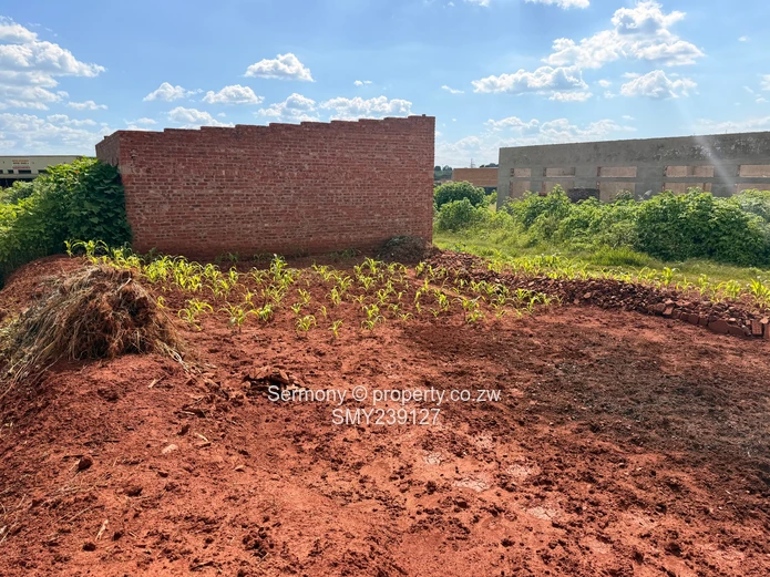 Commercial or Shop Stand for Sale in Warren Park D