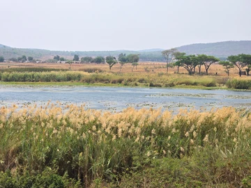 Farm & Agricultural Land